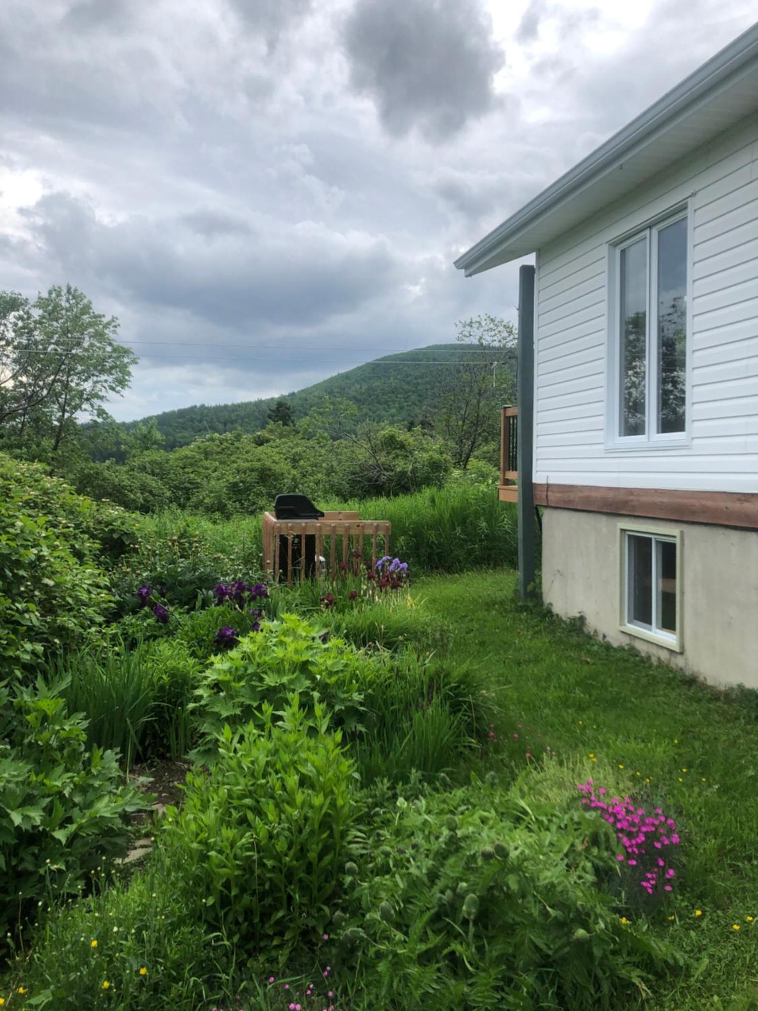 Chalets Les Chanterelles De Forillon L'Anse-au-Griffon Екстер'єр фото